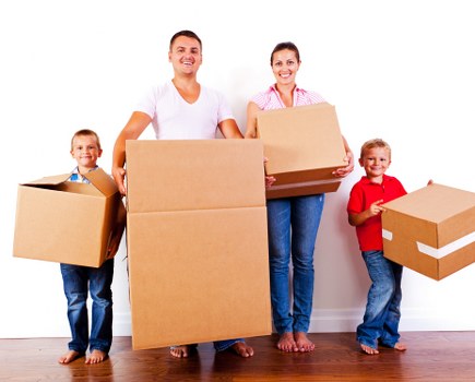 Risk assessment and safety planning for a van removal job